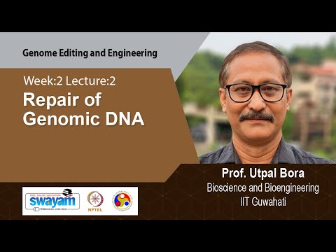 Genome Editing and Engineering Intro Video