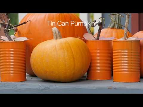 download lagu mp3 mp4 Tin Can Pumpkins, download lagu Tin Can Pumpkins gratis, unduh video klip Tin Can Pumpkins