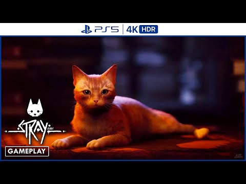 STRAY | PS5 | 28 Minutes Gameplay (4K HDR)