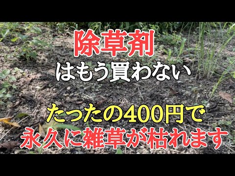 園芸でのエスポム塩の使い方 庭に塩を注ぐ