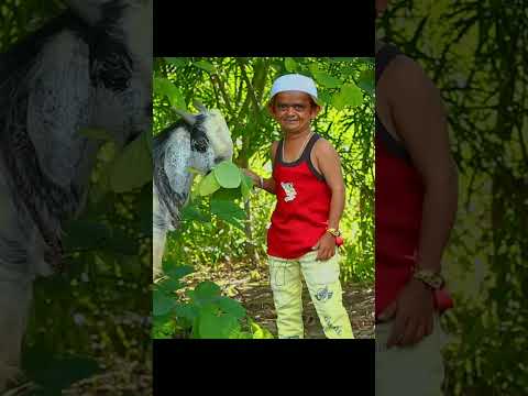 छोटू दादा की तरफ से बकरी ईद मुबारक़ |Eid Mubarak Chotu Dada Ki Taraf se |Khandesh Comedy