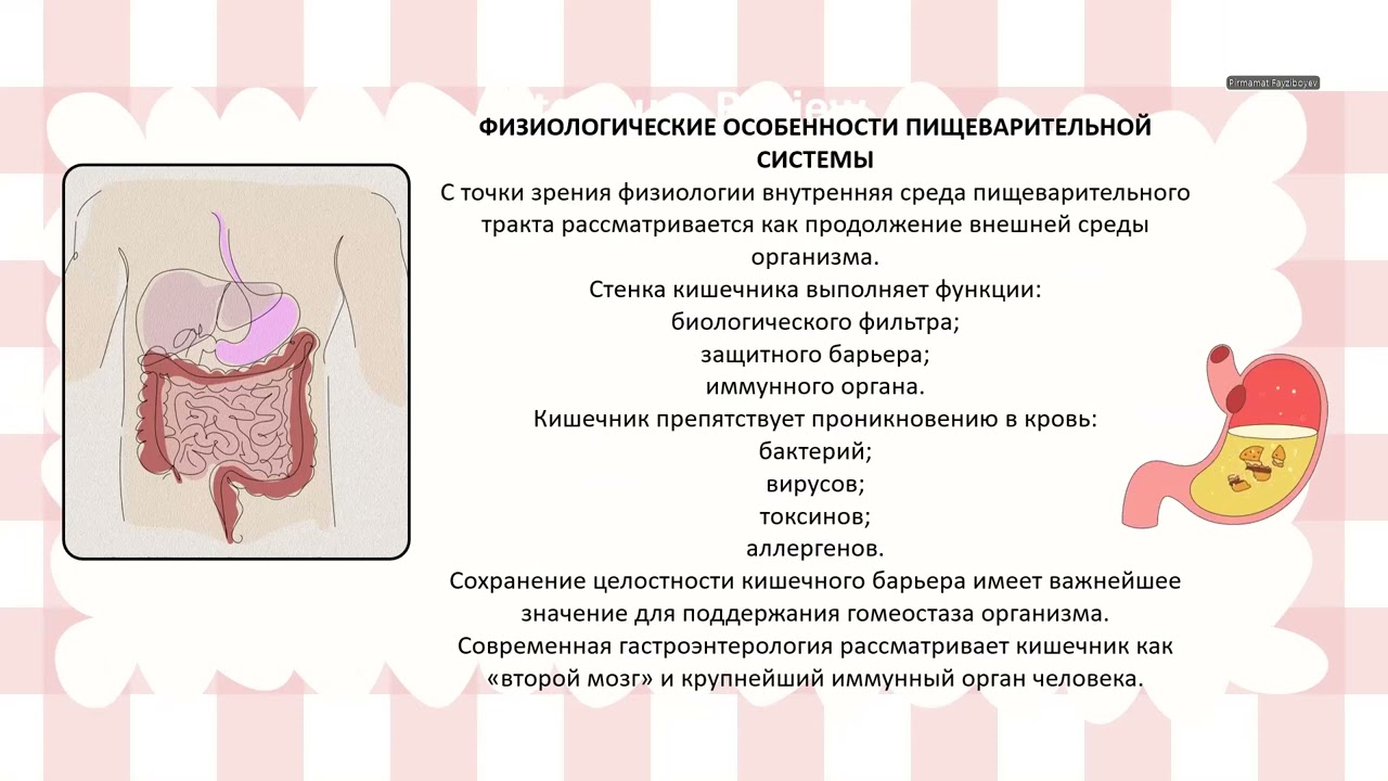 Физиология пищеварения