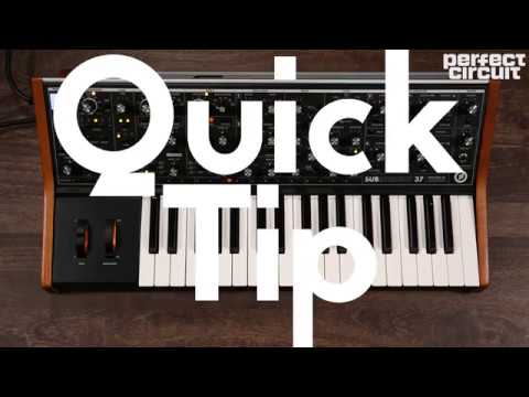 Quick Tip: Pluck Bass Patch On Moog Subsequent 37 Tutorial