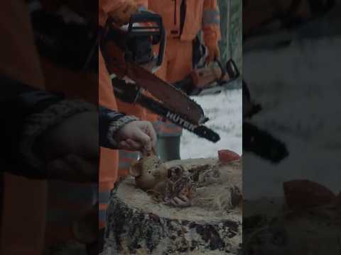 Они срубили дерево… и нашли ЭТО 😱