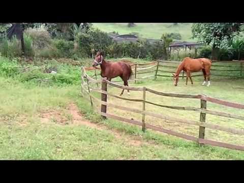 2011-12-12 Miss Diana