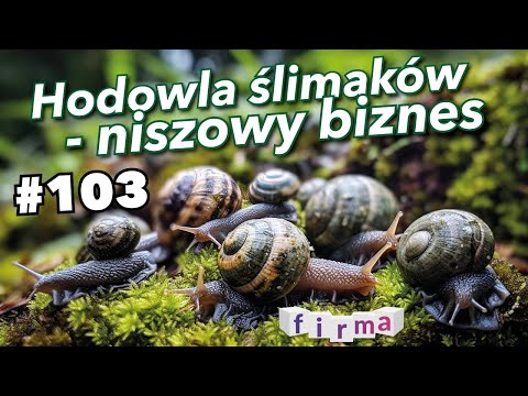 Hodowla ślimaków – niszowy biznes #103