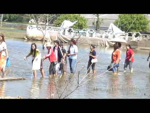 download lagu mp3 mp4 Take That The Flood VOB, download mp3 Take That The Flood VOB free downloadn, video klip Take That The Flood VOB