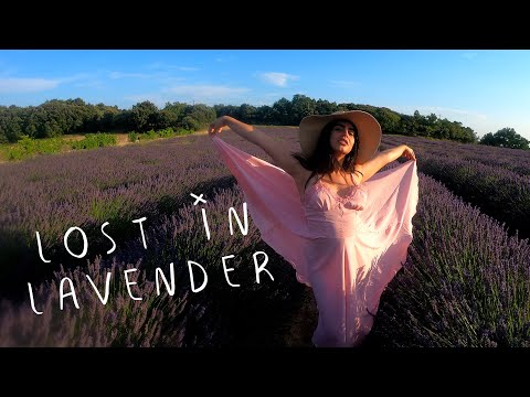LOST IN LAVENDER 🇫🇷