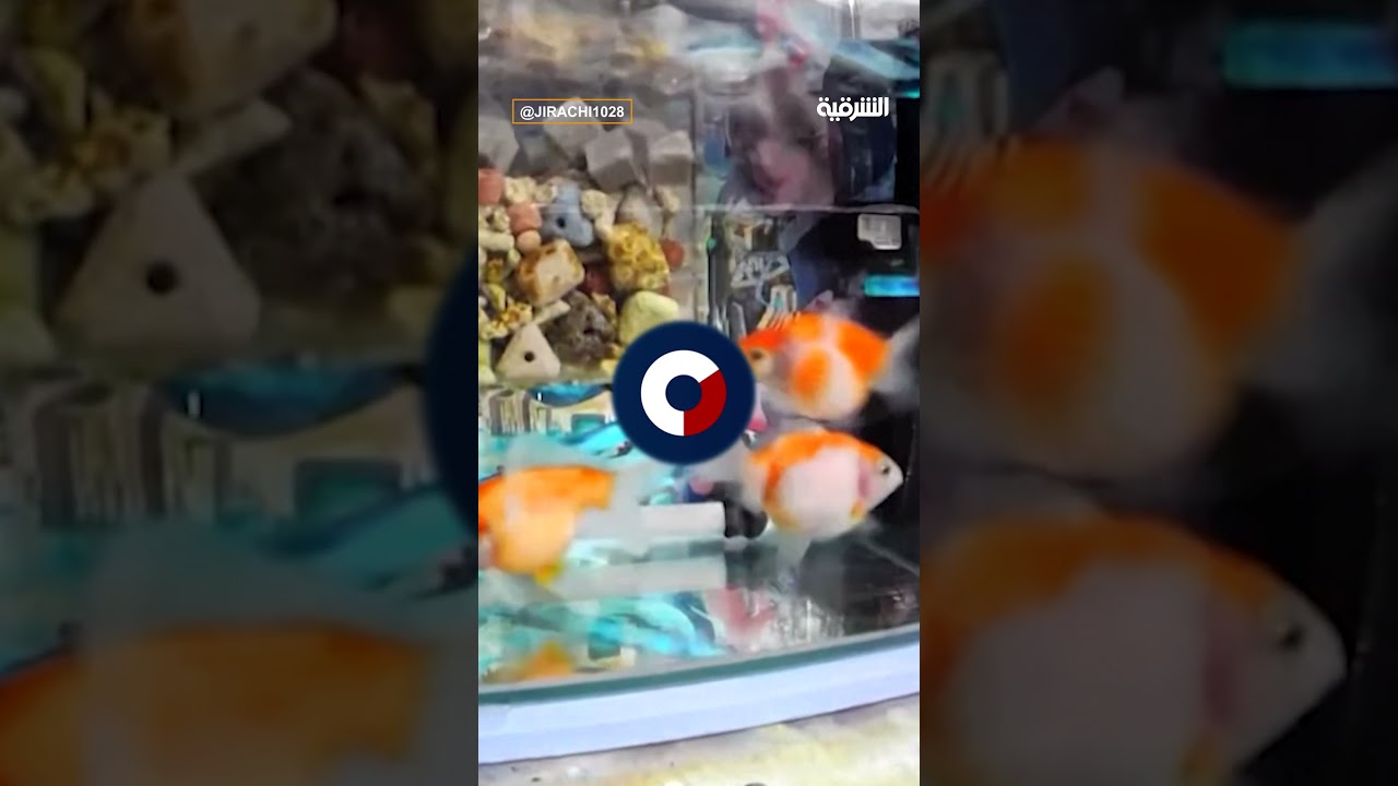 فيديو | حالة من الهلع والرعب لحظة وقوع زلزال في تايوان