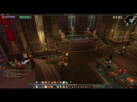 Champion Lady Liadrin WoW Quest Lady Liadrin follower