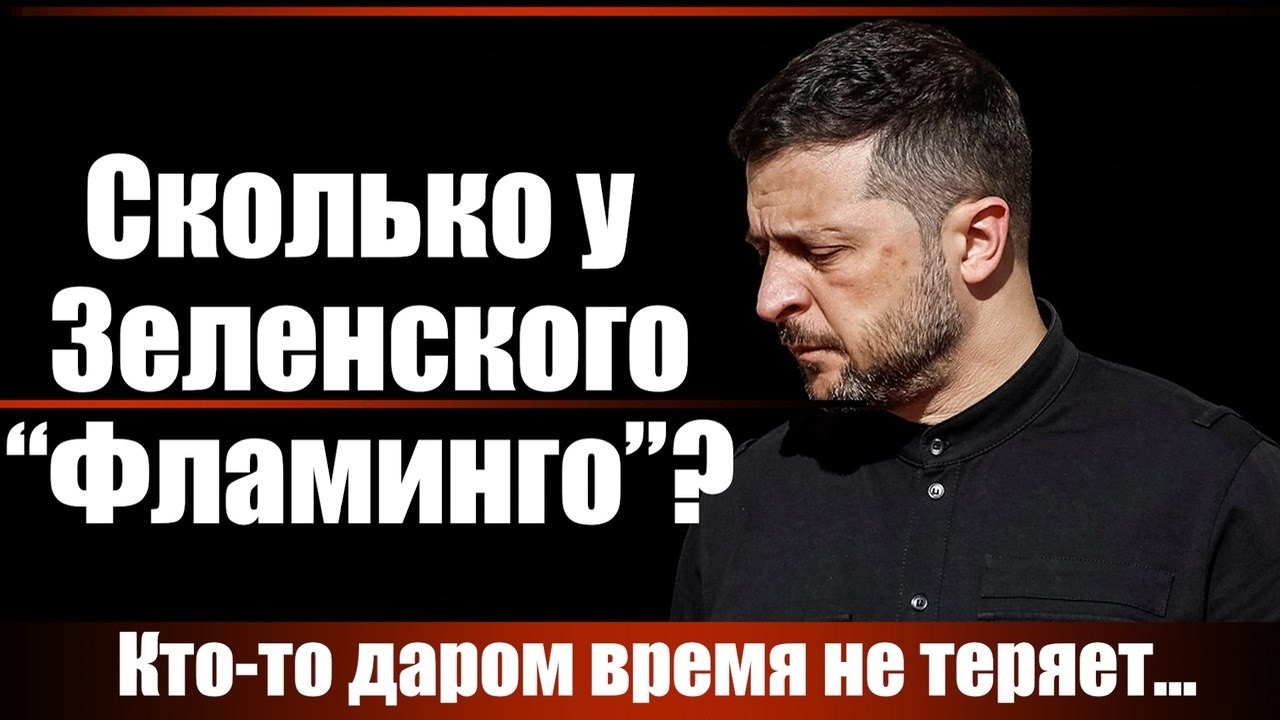 Сколько у Зеленского "Фламинго"?