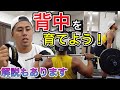 【デカイ背中をつくりたい人必見！】種目ごとの解説もしています！
