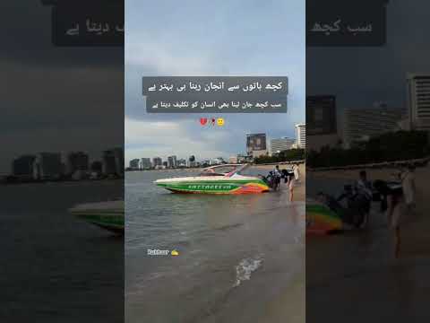 #shortvideo #haqeeqat 🌹❤️✍️❤️🌹❤️🌹❤️🌹❤️