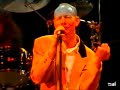 Joe Jackson "Obvious song" live