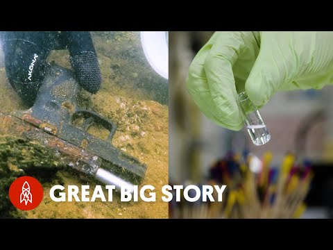 保護海龜，端正態度，打擊犯罪。 (Protecting Turtles, Correcting Manners and Solving Crime)