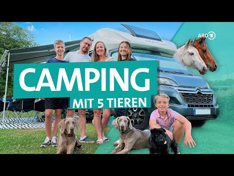 Motorhome tour with 3 dogs and 2 horses | ARD Reisen