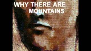 cymbals eat guitars - like blood does