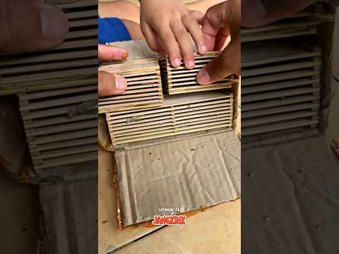 Buy Crickets and Cages Online