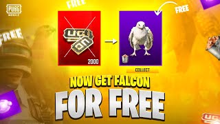 Free Falcon | Get Free Falcon Companion In Pubg Mobile | 1.9 Version | Free 200 Falcon Food | Pubgm