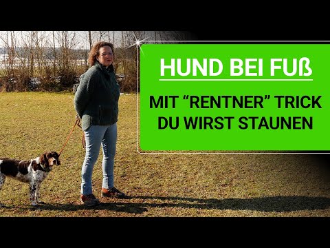 💥🐶 Teach your dog to heel with a simple "pensioner" trick 👉 You'll be amazed! 🐶💥✔️