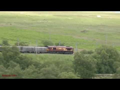 Rail Traffic on Shap Bank - plus Some Beasts!