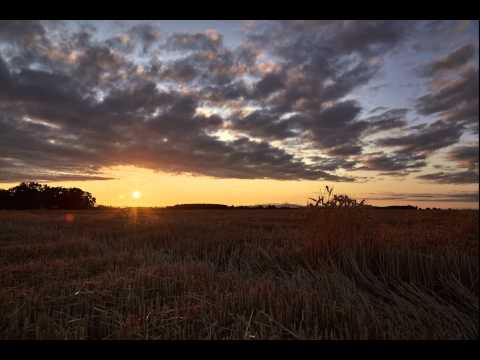 Wheat Field Timelapse