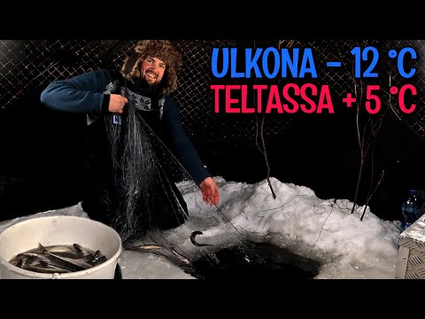 VERKKOJEN NOSTO LÄMPIMÄSSÄ TELTASSA - AHVEN, MUIKKU JA 73 NORSSIA TULI
