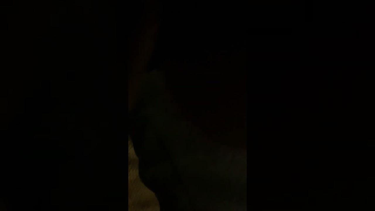 Ayooooooooooooooooooooo