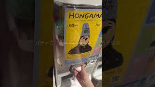 ISFP好きなことだけする一日vlog #vlog #一人暮らし #isfp #ジブリ #お部屋作り #日常vlog