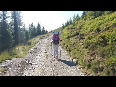 Vf. Nedeia, munții Capațânii.