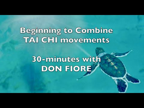 Combining TAI CHI Moves - with Don Fiore
