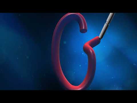 Meet the new moto g stylus - 2023