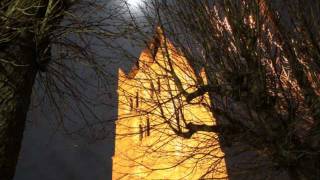 preview picture of video 'Anneyron by night 2011 HD.wmv'