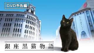不思議な黒猫（cv 山寺宏一）と銀座の名店をめぐる、心温まるヒューマンドラマ『銀座黒猫物語』9.23(水) デジタル先行配信 / 12.2(水) DVD発売