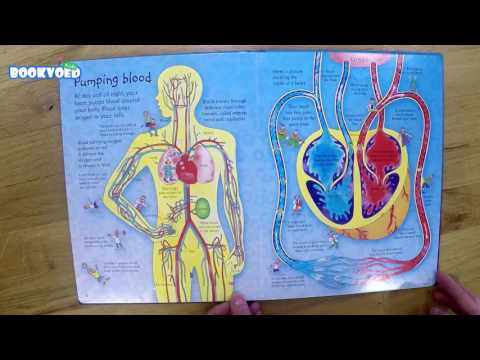 Відео огляд See inside your body [Usborne]