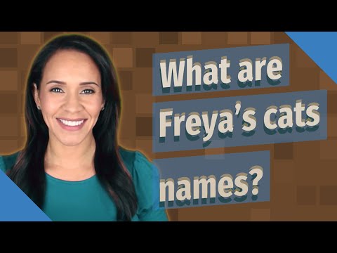 What are Freya's cats names?