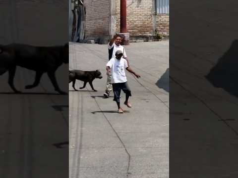 Bêbado e Desgovernado! 🤣