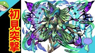 滅級ダンジョン無限回廊ココンに初見で挑む!VS終局のカレイド-サモンズボード-