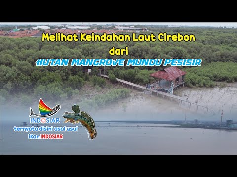 Mundu Pesisir, Tempat Ini Pernah dijadikan Lokasi Syuting