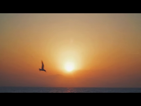 FILL - Um Amor pra Vida Toda feat DjJorgeCuts(ProdPokSombra&Menega)