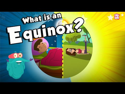EQUINOX | What Is An Equinox? | Vernal Equinox | Autumnal Equinox | Dr Binocs Show | Peekaboo Kidz