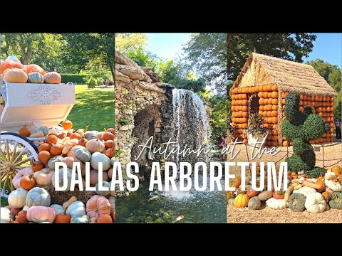 🎃 Autumn at the Dallas Arboretum VLOG 🍁 100k Pumpkin Village & Fall Market