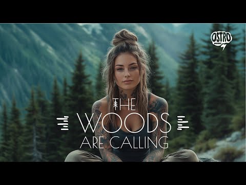 The Woods Are Calling 🌲 Indie Folk Playlist for a Soulful Escape into Nature