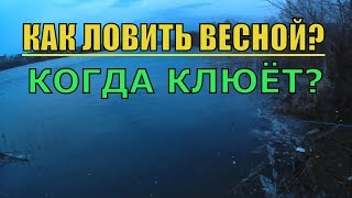 Ловля сома на оке в тульской области