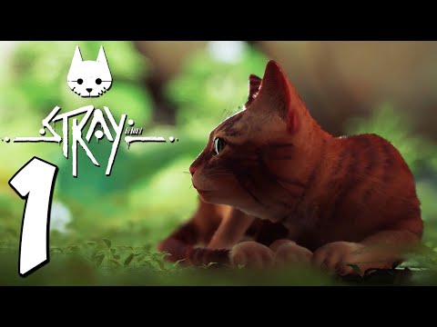 Stray Gameplay Walkthrough - Part 1: STRAY CATS ARE SUPER CUTE and then sad times happen...