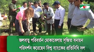 জলবায়ু পরিবর্তন মোকাবেলায় সৃজিত বনায়ন পরিদর্শন করেছেন বিশ্ব ব্যাংকের প্রতিনিধি দল