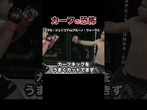 【放送禁止】恐ろしすぎるカーフキックKO試合５選【格闘技】Calf Kick #格闘技 #ボクシング #格闘技解説 #ボクシング解説 #ジェイコブ #ウォーラス #井上尚弥