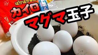 【実験】カイロの中身を集めてマグマゆで玉子を作ってみた Make a boiled egg with the heat of magma.