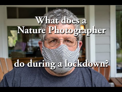 What does a Nature Photographer do during a lockdown?