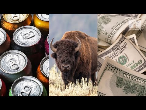 A look at some of the new laws taking effect in 2026